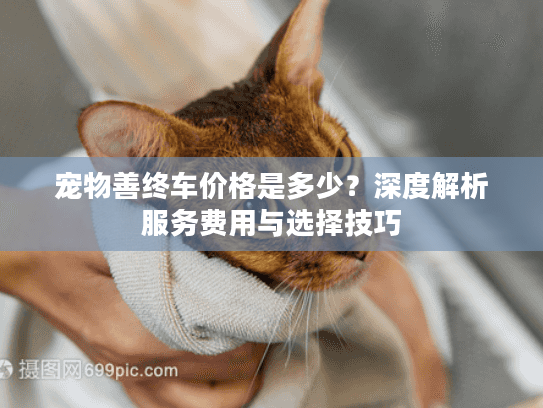 宠物善终车价格是多少？深度解析服务费用与选择技巧