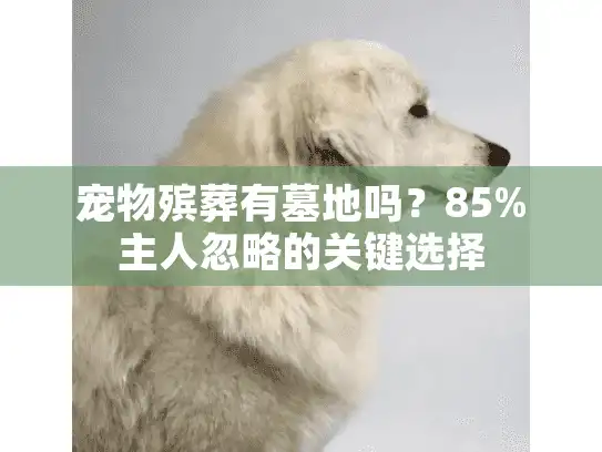 宠物殡葬有墓地吗？85%主人忽略的关键选择