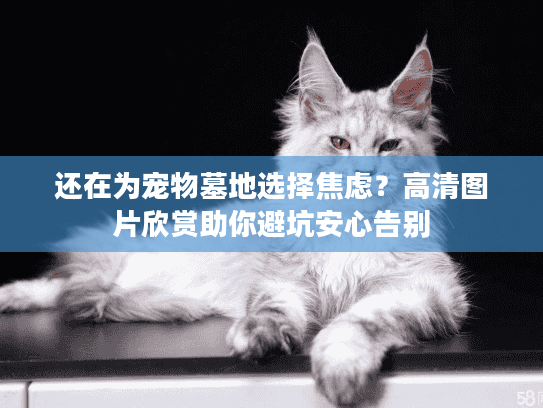 还在为宠物墓地选择焦虑?高清图片欣赏助你避坑安心告别 还在为宠物墓地选择焦虑?高清图片欣赏助你避坑安心告别