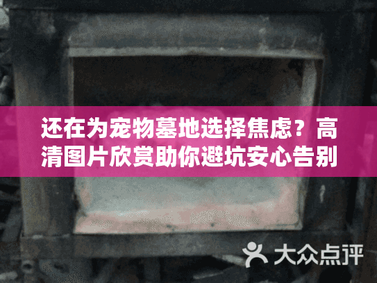 还在为宠物墓地选择焦虑?高清图片欣赏助你避坑安心告别 还在为宠物墓地选择焦虑?高清图片欣赏助你避坑安心告别