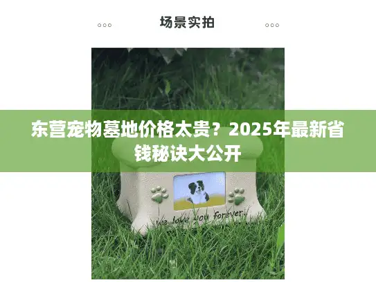 东营宠物墓地价格太贵？2025年最新省钱秘诀大公开