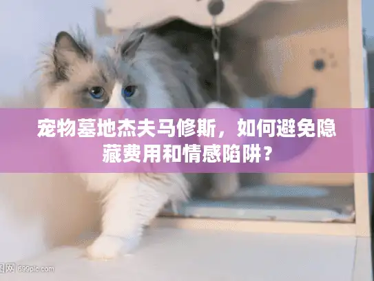 宠物墓地杰夫马修斯，如何避免隐藏费用和情感陷阱？
