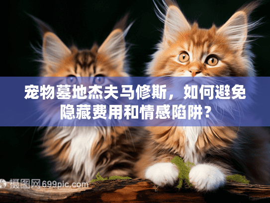 宠物墓地杰夫马修斯，如何避免隐藏费用和情感陷阱？