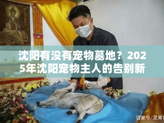 沈阳有没有宠物墓地?2025年沈阳宠物主人的告别新选择 沈阳有没有宠物墓地?2025年沈阳宠物主人的告别新选择