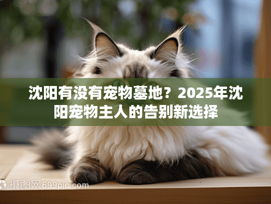 沈阳有没有宠物墓地?2025年沈阳宠物主人的告别新选择 沈阳有没有宠物墓地?2025年沈阳宠物主人的告别新选择
