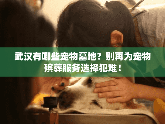 武汉有哪些宠物墓地？别再为宠物殡葬服务选择犯难！