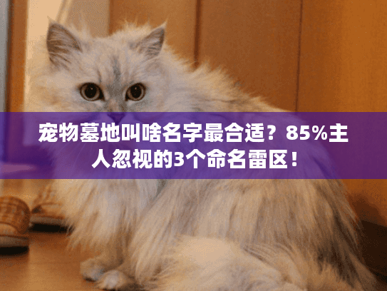 宠物墓地叫啥名字最合适？85%主人忽视的3个命名雷区！