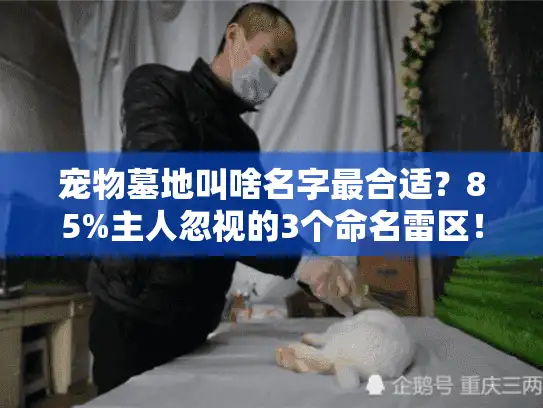 宠物墓地叫啥名字最合适？85%主人忽视的3个命名雷区！