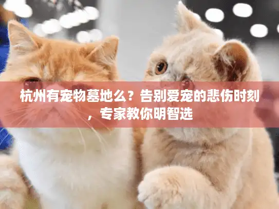 杭州有宠物墓地么？告别爱宠的悲伤时刻，专家教你明智选