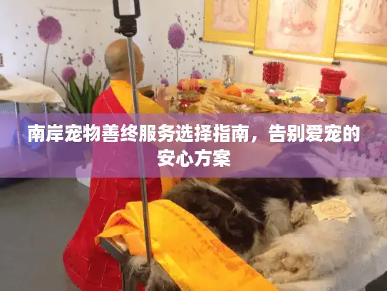 南岸宠物善终服务选择指南,告别爱宠的安心方案 南岸宠物善终服务选择指南,告别爱宠的安心方案