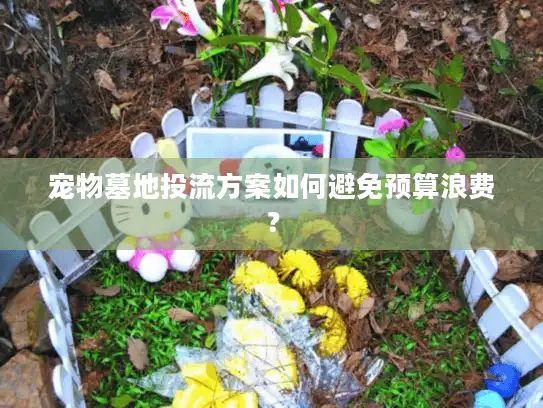 宠物墓地投流方案如何避免预算浪费？