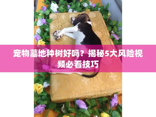 宠物墓地种树好吗？揭秘5大风险视频必看技巧