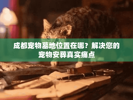 成都宠物墓地位置在哪?解决您的宠物安葬真实痛点 成都宠物墓地位置在哪?解决您的宠物安葬真实痛点