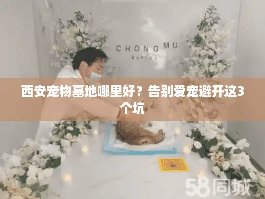 西安宠物墓地哪里好?告别爱宠避开这3个坑 西安宠物墓地哪里好?告别爱宠避开这3个坑
