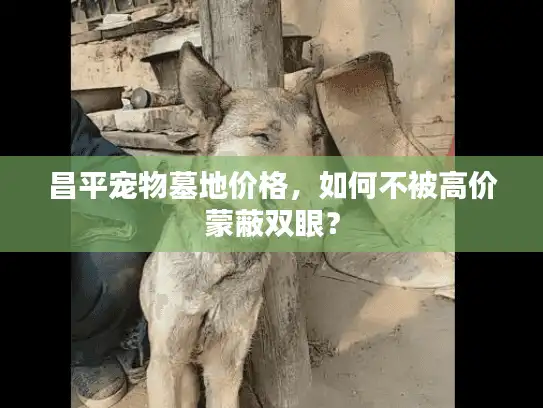 昌平宠物墓地价格，如何不被高价蒙蔽双眼？