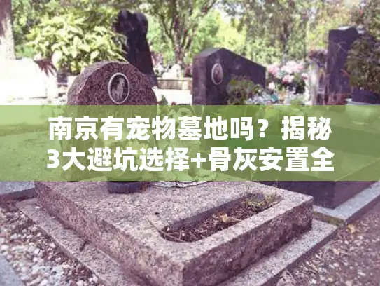 南京有宠物墓地吗?揭秘3大避坑选择+骨灰安置全方案 南京有宠物墓地吗?揭秘3大避坑选择+骨灰安置全方案
