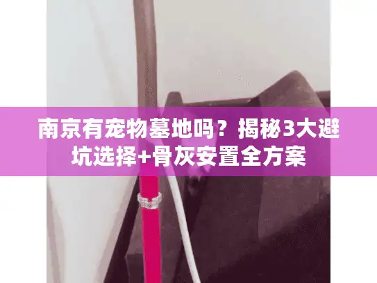 南京有宠物墓地吗?揭秘3大避坑选择+骨灰安置全方案 南京有宠物墓地吗?揭秘3大避坑选择+骨灰安置全方案