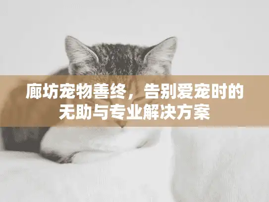 廊坊宠物善终，告别爱宠时的无助与专业解决方案