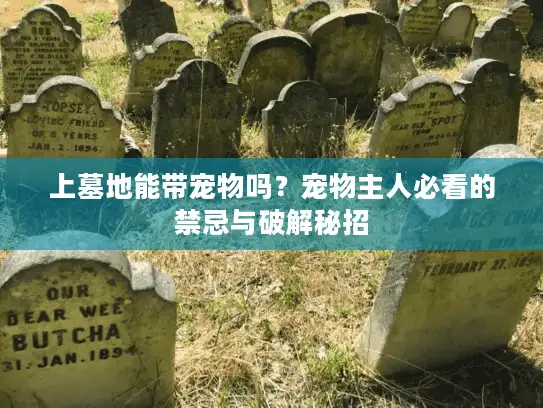 上墓地能带宠物吗?宠物主人必看的禁忌与破解秘招 上墓地能带宠物吗?宠物主人必看的禁忌与破解秘招