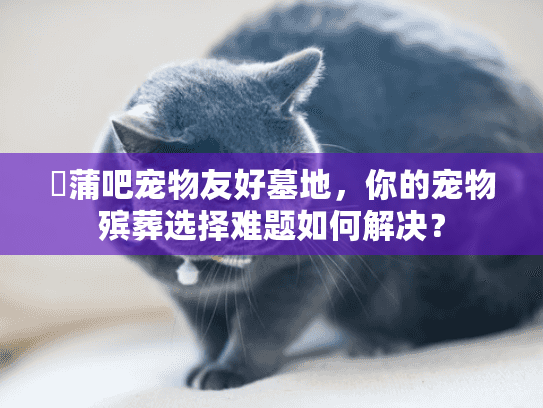 囍蒲吧宠物友好墓地,你的宠物殡葬选择难题如何解决? 囍蒲吧宠物友好墓地,你的宠物殡葬选择难题如何解决?