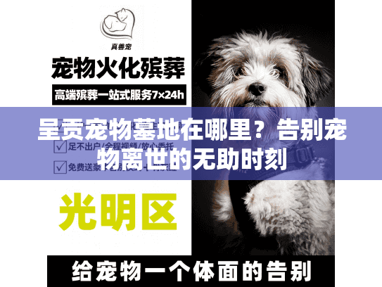 呈贡宠物墓地在哪里？告别宠物离世的无助时刻