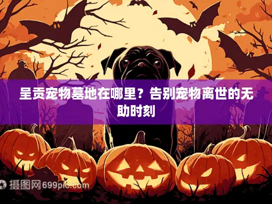 呈贡宠物墓地在哪里？告别宠物离世的无助时刻