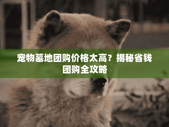 宠物墓地团购价格太高？揭秘省钱团购全攻略