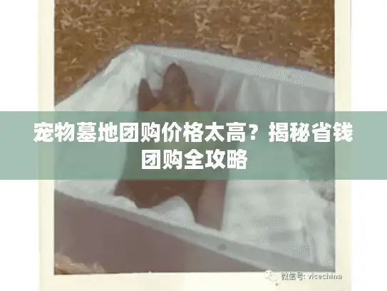 宠物墓地团购价格太高？揭秘省钱团购全攻略
