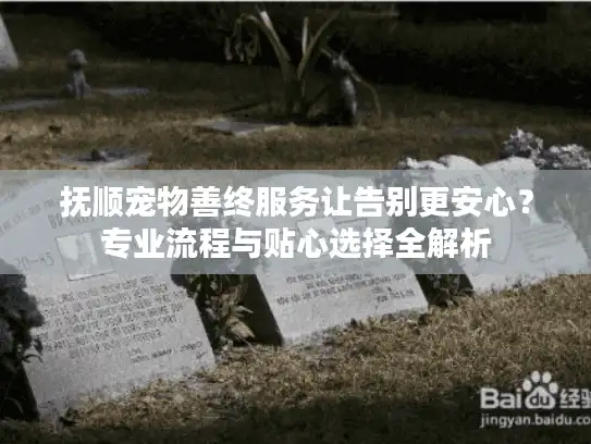 抚顺宠物善终服务让告别更安心？专业流程与贴心选择全解析
