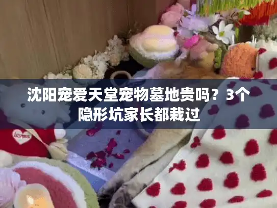 沈阳宠爱天堂宠物墓地贵吗？3个隐形坑家长都栽过