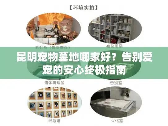 昆明宠物墓地哪家好？告别爱宠的安心终极指南