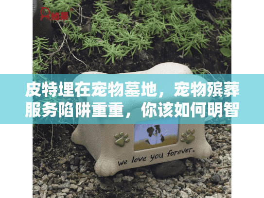 皮特埋在宠物墓地，宠物殡葬服务陷阱重重，你该如何明智行动？