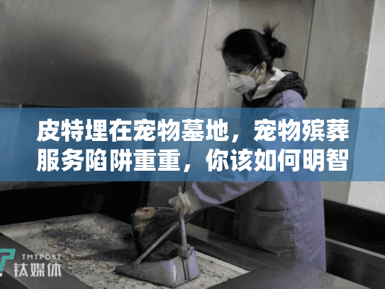 皮特埋在宠物墓地，宠物殡葬服务陷阱重重，你该如何明智行动？