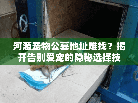 河源宠物公墓地址难找?揭开告别爱宠的隐秘选择技巧 河源宠物公墓地址难找?揭开告别爱宠的隐秘选择技巧