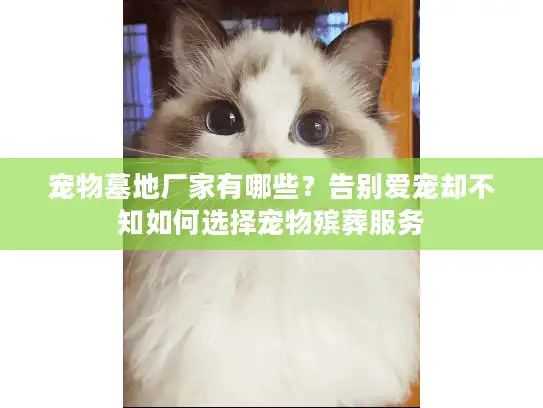 宠物墓地厂家有哪些？告别爱宠却不知如何选择宠物殡葬服务