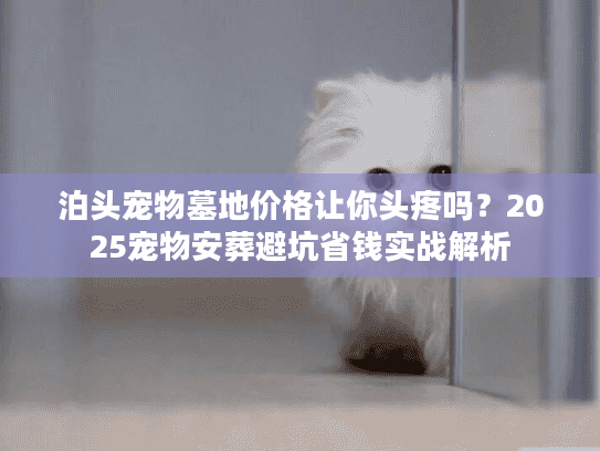 泊头宠物墓地价格让你头疼吗？2025宠物安葬避坑省钱实战解析