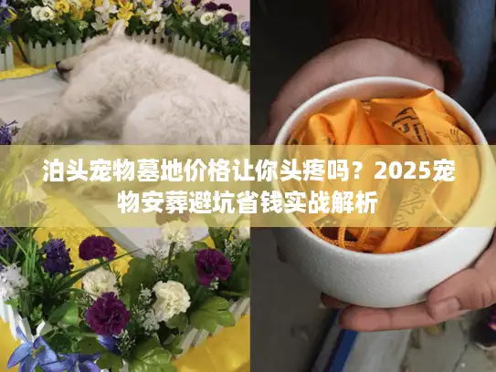 泊头宠物墓地价格让你头疼吗？2025宠物安葬避坑省钱实战解析