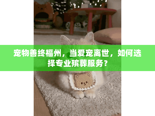 宠物善终福州,当爱宠离世,如何选择专业殡葬服务? 宠物善终福州,当爱宠离世,如何选择专业殡葬服务?