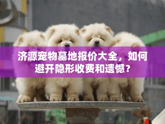 济源宠物墓地报价大全，如何避开隐形收费和遗憾？