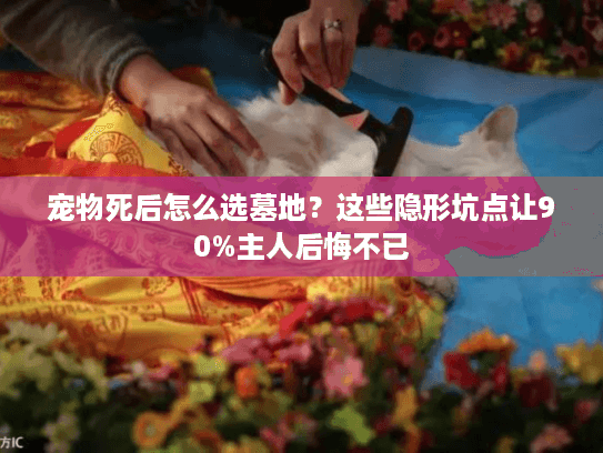 宠物死后怎么选墓地？这些隐形坑点让90%主人后悔不已