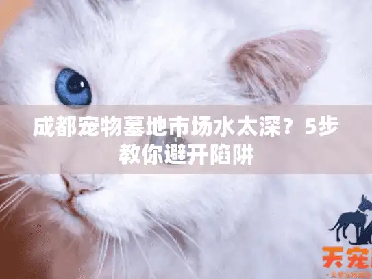 成都宠物墓地市场水太深？5步教你避开陷阱