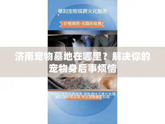 济南宠物墓地在哪里?解决你的宠物身后事烦恼 济南宠物墓地在哪里?解决你的宠物身后事烦恼