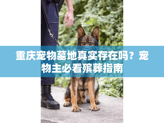 重庆宠物墓地真实存在吗？宠物主必看殡葬指南