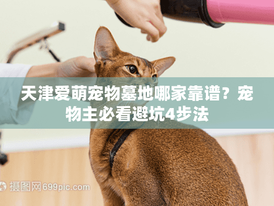 天津爱萌宠物墓地哪家靠谱?宠物主必看避坑4步法 天津爱萌宠物墓地哪家靠谱?宠物主必看避坑4步法