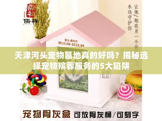 天津河头宠物墓地真的好吗？揭秘选择宠物殡葬服务的5大陷阱