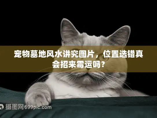 宠物墓地风水讲究图片,位置选错真会招来霉运吗? 宠物墓地风水讲究图片,位置选错真会招来霉运吗?