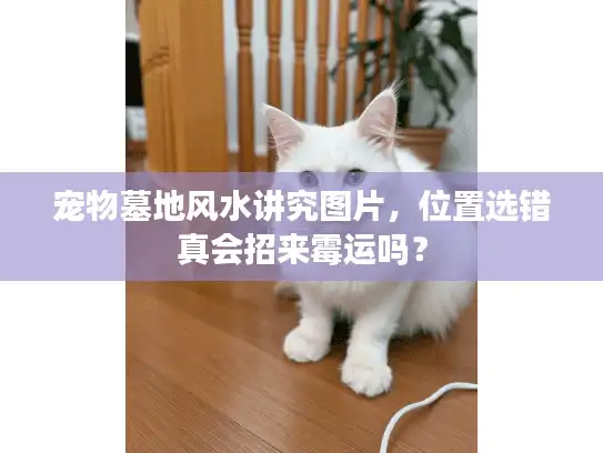 宠物墓地风水讲究图片,位置选错真会招来霉运吗? 宠物墓地风水讲究图片,位置选错真会招来霉运吗?