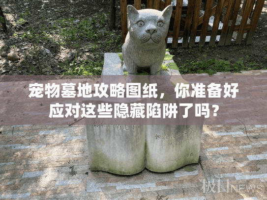 宠物墓地攻略图纸，你准备好应对这些隐藏陷阱了吗？