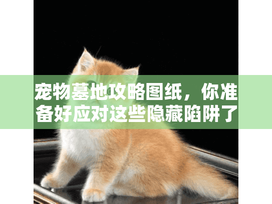 宠物墓地攻略图纸，你准备好应对这些隐藏陷阱了吗？