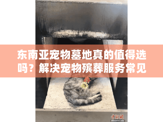 东南亚宠物墓地真的值得选吗？解决宠物殡葬服务常见信任危机